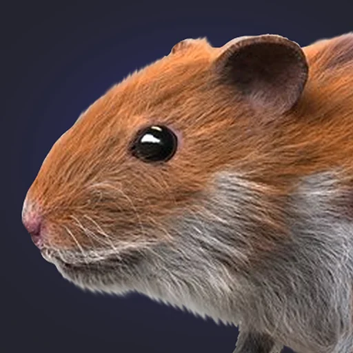 Hamster Clicker Earn Coins डाउनलोड करें – मुफ्त में सिक्के कमाएं