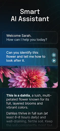 AI Chatbot – Nova डाउनलोड करें: नवीनतम AI मॉडल के साथ स्मार्ट चैट - Screenshot 10