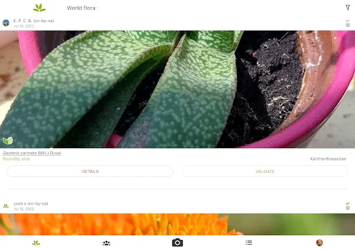 PlantNet Plant Identification डाउनलोड करें – पौधों की सटीक पहचान - Screenshot 12