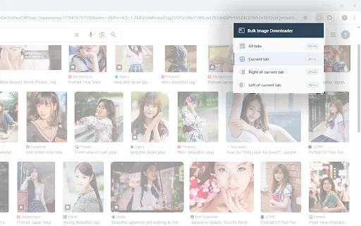 Bulk Image Downloader: किसी भी वेबसाइट से इमेज डाउनलोड करें - Screenshot 2