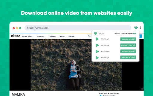 Video Downloader Pro डाउनलोड करें – तेज़ और आसान वीडियो सेव करें - Screenshot 1
