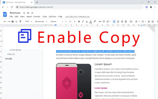 Enable Copy एक्सटेंशन डाउनलोड करें – किसी भी वेबसाइट से टेक्स्ट कॉपी करें - Screenshot 2