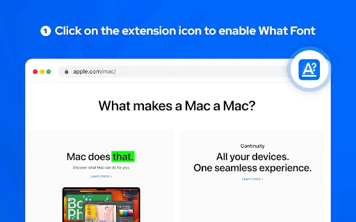 What Font Chrome Extension डाउनलोड करें – वेब पेज फॉन्ट पहचानें - Screenshot 1