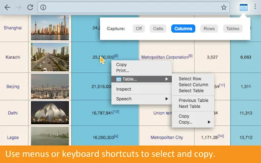 Copytables डाउनलोड करें – वेब टेबल डेटा कॉपी करने का सबसे आसान तरीका - Screenshot 2