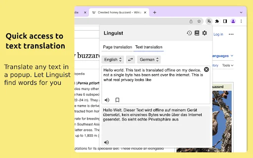 Linguist: सर्वश्रेष्ठ वेब पेज और टेक्स्ट ट्रांसलेटर – अभी डाउनलोड करें - Screenshot 3