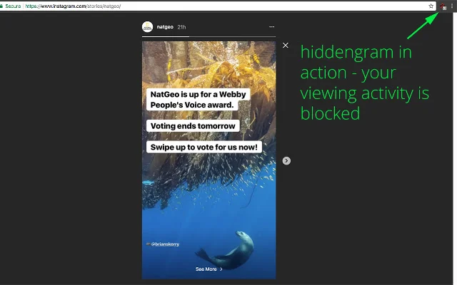 Hiddengram डाउनलोड करें – Instagram स्टोरीज़ गुप्त रूप से देखें - Screenshot 2